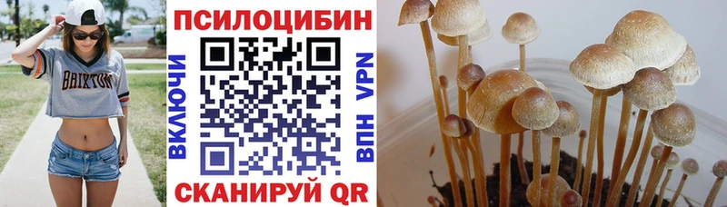 Галлюциногенные грибы Cubensis  Звенигово 