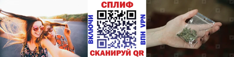 что такое   Звенигово  МАРИХУАНА ГИДРОПОН 